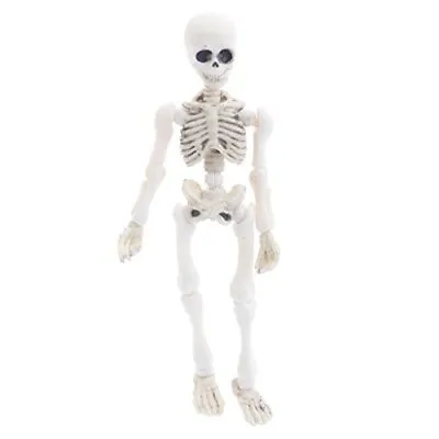 Movable Mr. Bones Skeleton Human Model Skull Full Body Mini Figure Toy Hallow... • $16.65