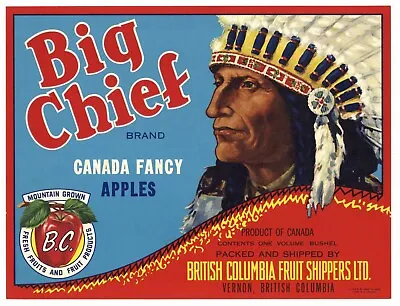 BIG CHIEF Brand Vintage British Columbia **AN ORIGINAL APPLE CRATE LABEL** • $4.99