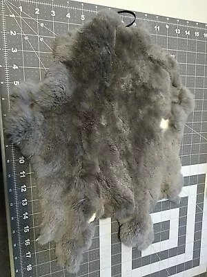 1pcs Natural Rabbit Fur Tanned Craft Grade #14 • $5