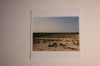 $310 • Buy Original Alec Soth Signed Magnum Photo Entitled  Del Rio, Texas, USA, 2011 