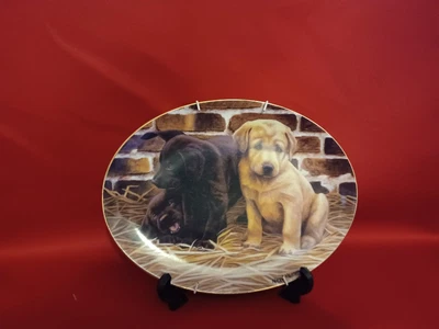 £10 • Buy NIGEL HEMMING FRANKLIN MINT DOG OVAL LABRADOR PLATE. Threes A Crowd