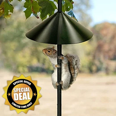 £10.95 • Buy Plastic Squirrel Proof Baffle Wrap Around Smooth Bird Feeder Special Fold-able