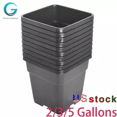 10 PCS 2Gal 3Gal 5Gallon Plastic Grow Pots Plant Bonsai Square Garden Container • $21.57