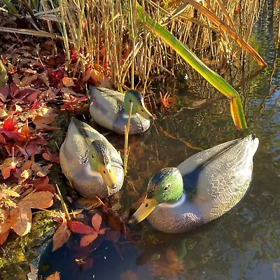 Mallard Duck Hunting Shooting Floating Decoy Pond Decoration Large (Set Of 3) • £12.99