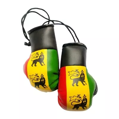 Mini Boxing Gloves Olympics Soccer Car Mirror Hanging Décor The Lion Of Judah • $9.99