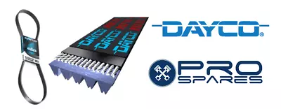 Dayco 5PK0875 V-Ribbed Belts • $27.50