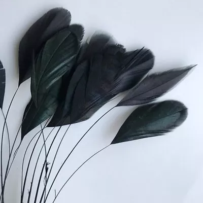 Black Stripped Coque Feathers Eyelash Trim 15 Pcs 6-8  Hat Millinery Fascinator  • $7.99