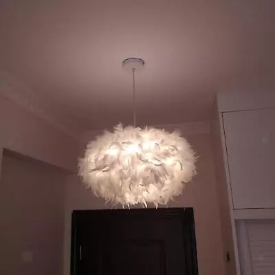 Minimalist Feather Lamp Shade Lamp Fitting For Living Room Home Decoration • £11.96