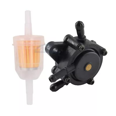 Fuel Pump & Fuel Filter For Briggs & Stratton 31P677 31P707 31P777 31P877 31P977 • $10.54