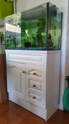 $100 • Buy Fish Tank With Cabinet And Accessories