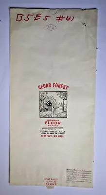 $20 • Buy X LARGE Vintage Paper Sack Bag - FLOUR, CEDAR FOREST MILLS, LONG ISLAND VA 1998