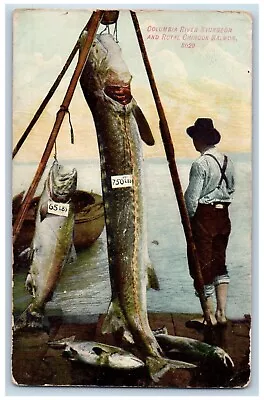 Fishing Postcard Columbia River Sturgeon And Royal Chinook Salmon 1909 Antique • £28.87