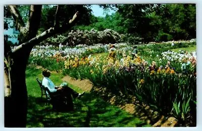 MONTCLAIR New Jersey NJ ~ Mountainside Park PRESBY IRIS GARDENS C1960s Postcard • $5.93