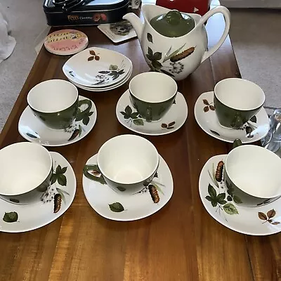 Midwinter Stylecraft Riverside Tea Pot 6 Tea Cups 9 Saucers Very Good Gonditon • £29.99