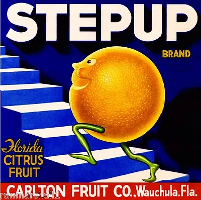 Wauchula Stepup Florida Orange Citrus Fruit Crate Label Vintage Art Print • $11.19