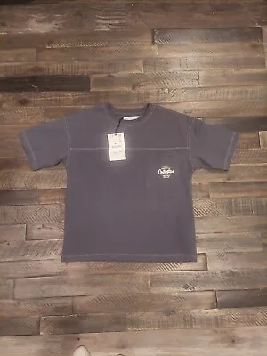 NWT Zara Gray Boys T-shirt  Size 8 • $11