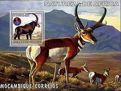 Alphine Ibex Horn Stamp African Nature Souvenir Sheet Mint NH • $17.18