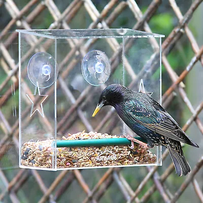 Glass Window Bird Feeder Rectangular Seed Peanut Mealworm Suction Perspex Clear  • £7.99