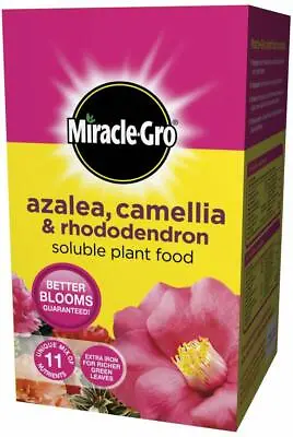 Miracle Gro Azalea Camellia Rhododendron Soluble Plant Food Vital Nutrients 1KG • £8.99