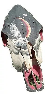 Vintage Native American Hand-painted Cow Skull Head 18x9x5  -ECLIPSE WOLF  • $31.50