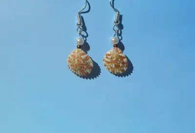 Pretty Pectin Scallop Shell Earrings With Immitation Pearl Beads. Handmade • $13