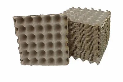 $12 • Buy Egg Crates Flats For Feeders Crickets Roaches Crested Geckos Bearded Dragon