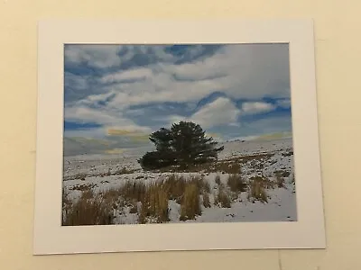 Mark Leary Art Watercolour Painting Nunns Cross Farm Dartmoor • £25