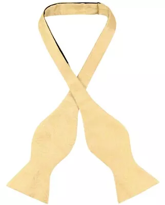 Vesuvio Napoli SELF TIE Bow Tie GOLD Color PAISLEY Design Mens BowTie • $9.89