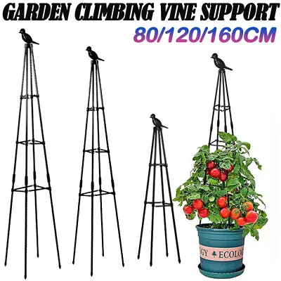 Climbing Plant Support Garden Obelisk Strong Tubular Metal Plant Cage 3 Sizes • £11.99