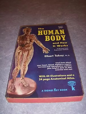 THE HUMAN BODY AND HOW IT WORKS By ELBERT TOKAY SIGNET #KD355 1ST 1958 PB! • $14.99