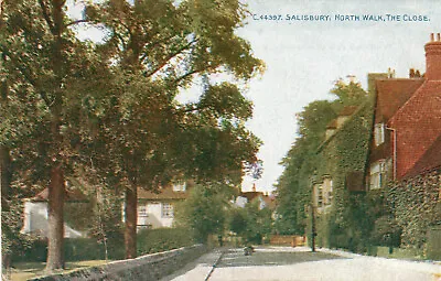 Wiltshire SALISBURY North Walk Close Postcard • £2