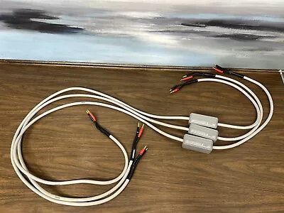 3X MIT Cables Terminator 5 Speaker Cables 8 Ft Long Terminated W/ BANANA PLUGS • $475