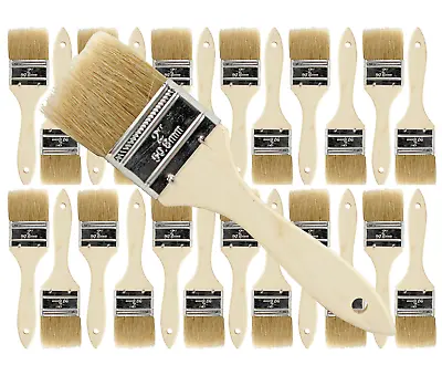 24 Pk- 2 Inch Chip Paint Brushes For Paint StainsVarnishesGluesGesso • $19.99