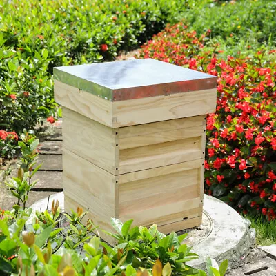 National UK Beehive Box Beekeeping Honey Solid Wood Super &Brood Bee Hive Frames • £45.95