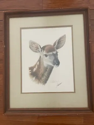 Vintage Guy Coheleach  Signed Deer Print • $65