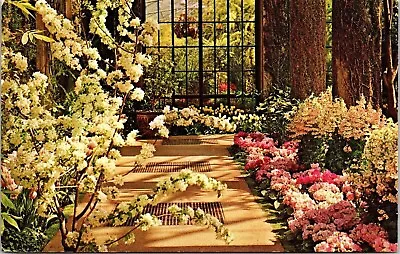 Longwood Gardens Kennett Square PA Pennsylvania Spring Blooms Postcard UNP VTG • $2.75