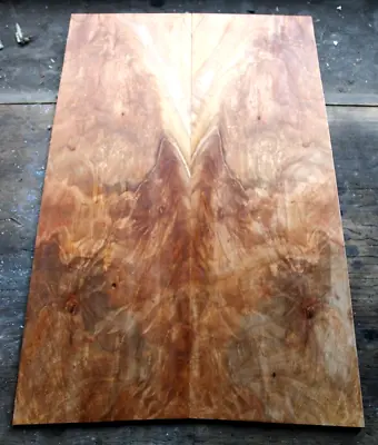 5a Curly Spalted Ambrosia Flame Maple Drop Top .29 Thk Guitar Bass Tonewood 2249 • $89.99