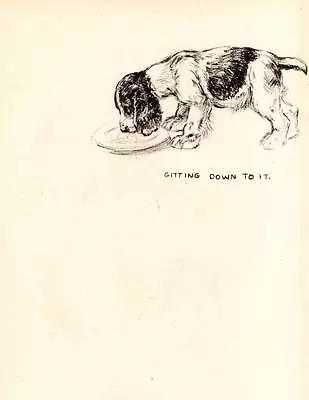 Funny Original Vintage Dog Print 1942 K.F. Barker  Gitting Down To It  • £7.75