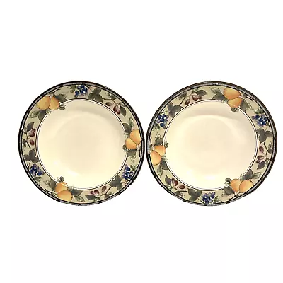 Mikasa Intaglio GARDEN HARVEST CAC29 Rimmed Soup Cereal Bowls 9 3/8  - Set Of 2 • $14.88