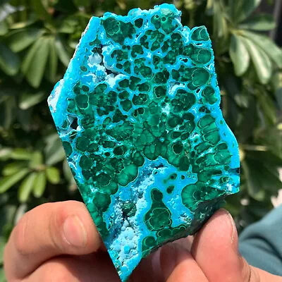 165G Natural Chrysocolla/Malachite Transparent Cluster Rough Mineral Sample • $5.50