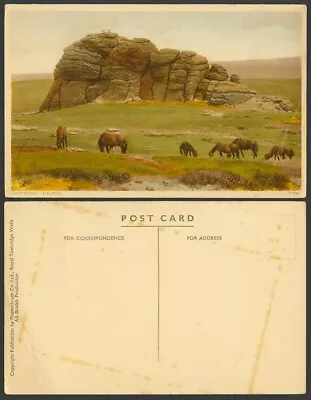 Dartmoor Haytor Rocks Pony Ponies Horse Horses Animals Devon Old Colour Postcard • £0.99