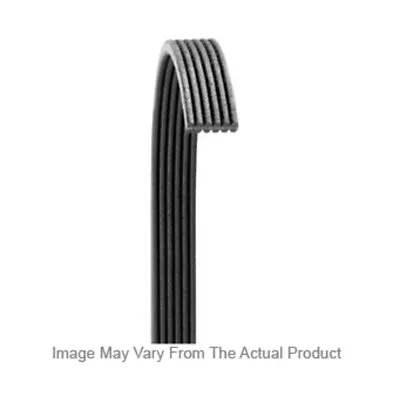 5040512 Dayco Drive Belt For Nissan Altima Ford Focus Chrysler PT Cruiser 03-10 • $55.52