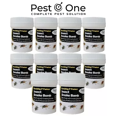 Bed Bug Smoke Killer Flea Foggers Insect Moths Fly Treatment Kills All Insects • £13.99