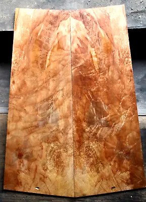 5a Curly Spalted Ambrosia Flame Maple Drop Top .23 Thk Guitar Bass Tonewood 2130 • $79.99