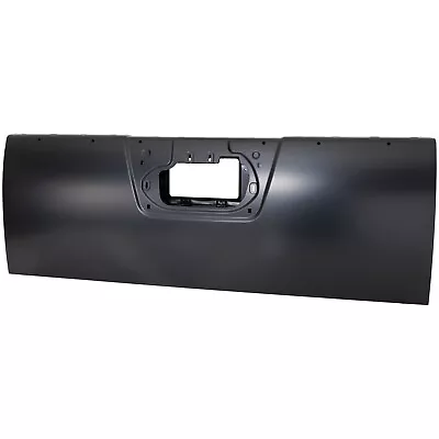 Tailgate Tail Gate 934009BF0A For Nissan Frontier 2013-2021 • $359.69