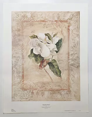 Magnolia Debut 1 By Susan Davies  Reproduction Print • £25