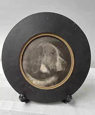 Vintage/Antique Wooden Small Picture Frame With Dog Photo B&W No Glass Round • $6