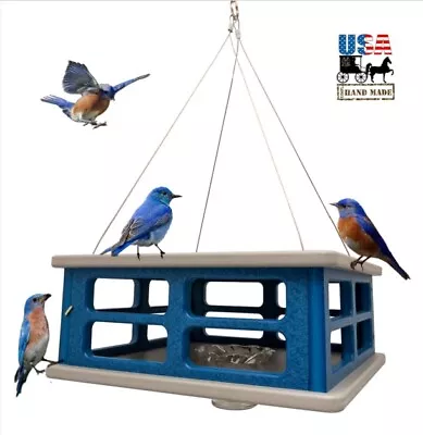 BLUEBIRD CAGE FEEDER - Safe Secure Hanging Blue Bird Meal Worm Feeder Amish USA • $159.97