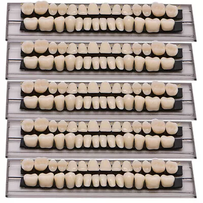 140PCS Denture 23# Shade A2 Acrylic Resin Full Set Teeth Upper Lower Dental NEW • $13.99