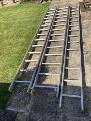 £200 • Buy Lyte 14 Rungs Triple Extension Ladders With Accessories